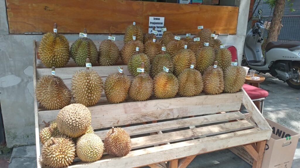 Pesta durian